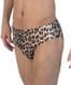 Mens Swim Brief - Leopard - Speedo Swimwear for men